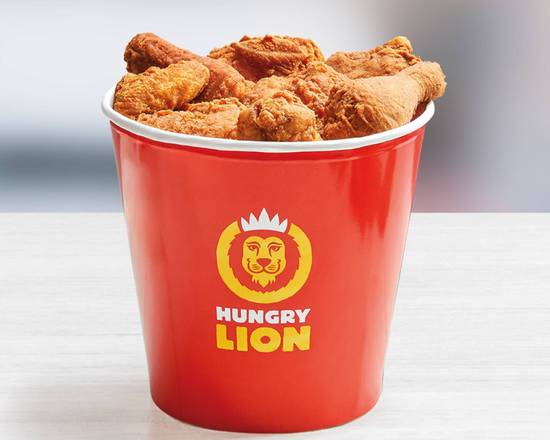 21 Piece Bucket