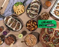 MAIZ Y TRIGO UNIVERSIDAD