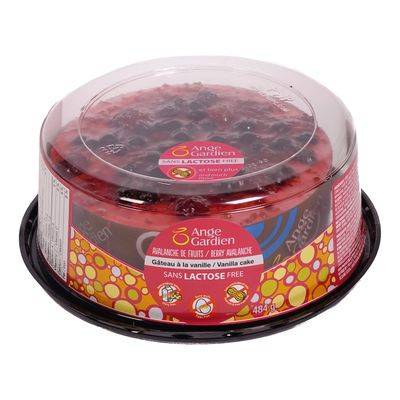 Ange Gardien Berry Avalanche Vanilla Cake (484 g)