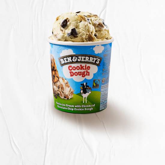 Ben & Jerry's Chocolate Chip Cookie Dough 458ml Tub