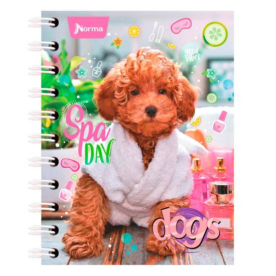Cuaderno norma profesional 100h ray dogs