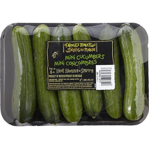 Miniconcombres - mini cucumbers (6 unités)