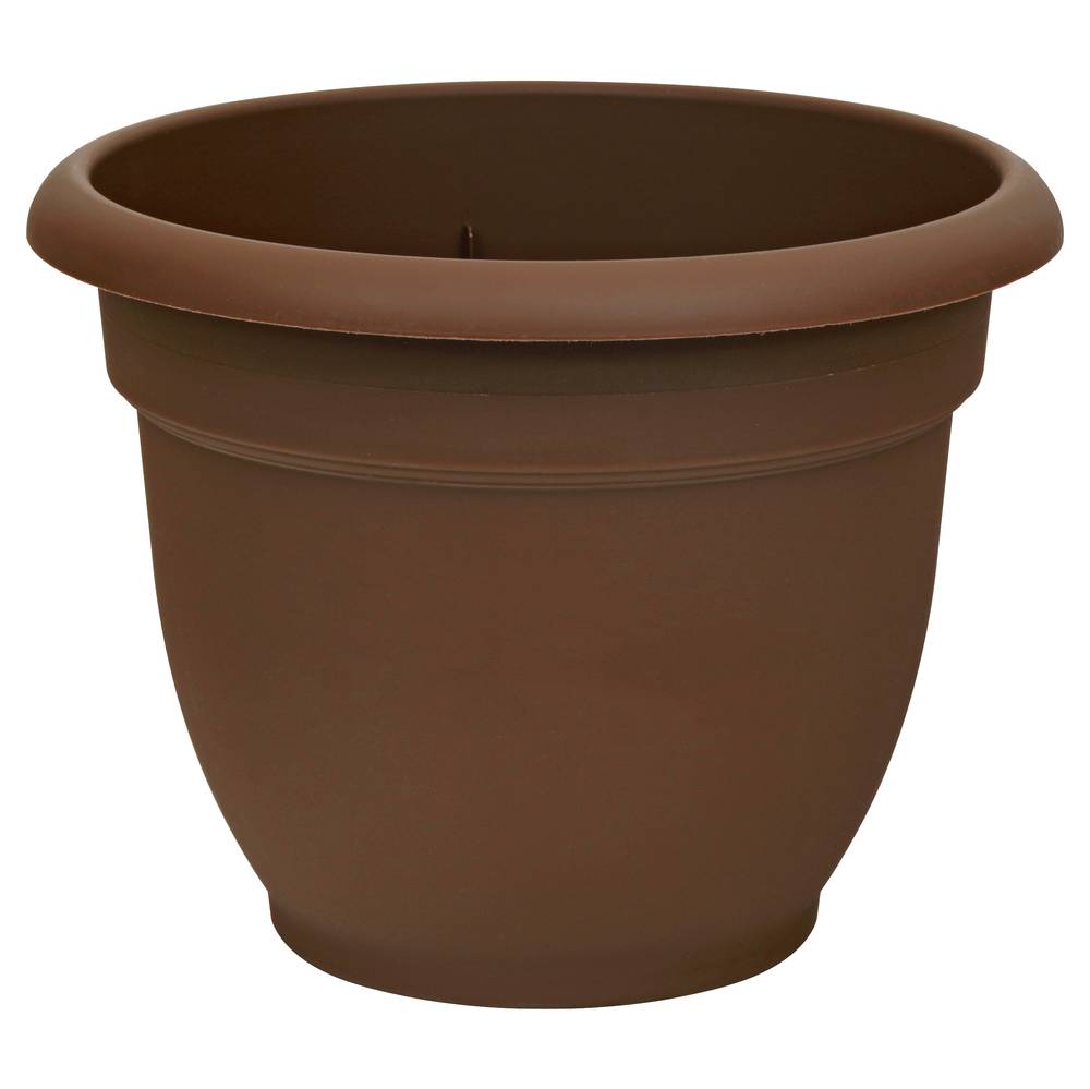 Bloem 10" Ariana Chocolate Planter