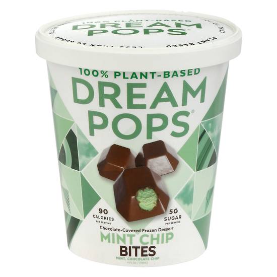 Dream Pops Mint Chip Bites Chocolate Covered Frozen Dessert