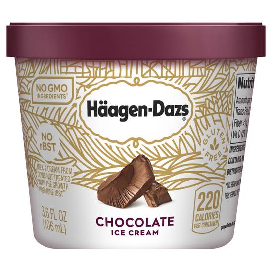 Häagen-Dazs Chocolate Ice Cream (3.6 fl oz)