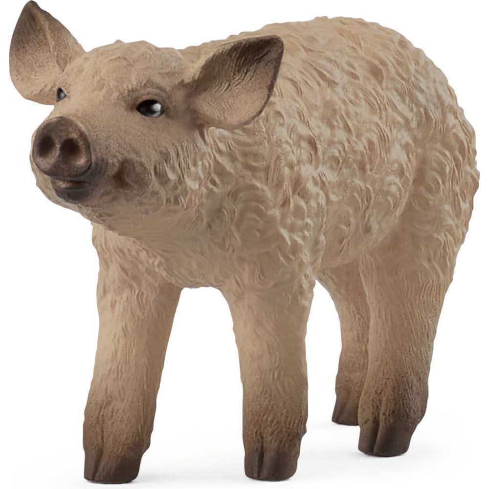 Porquinho Lanoso Schleich