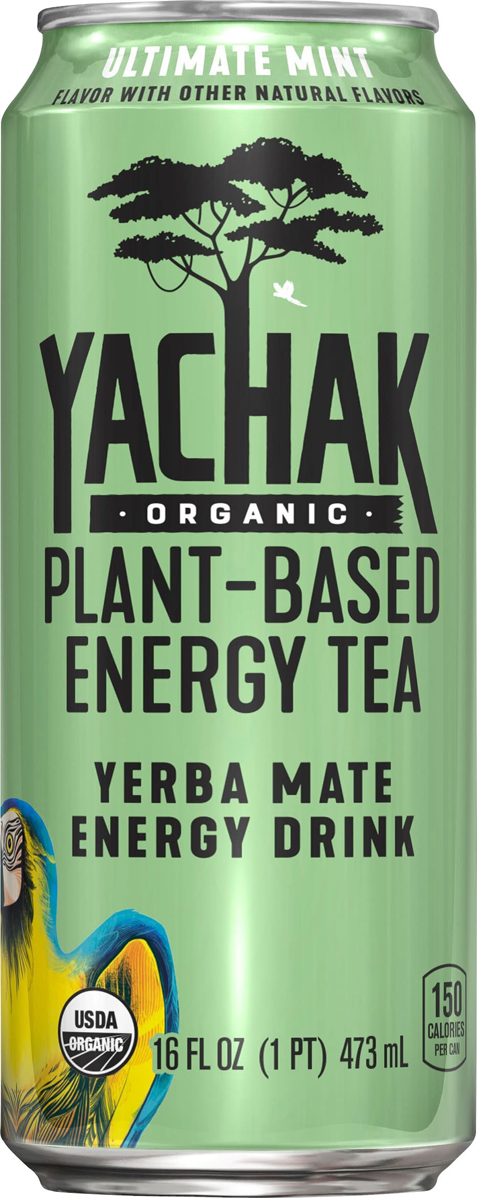 Yachak Organic Plant-Based Energy Drink, Mint (16 fl oz)