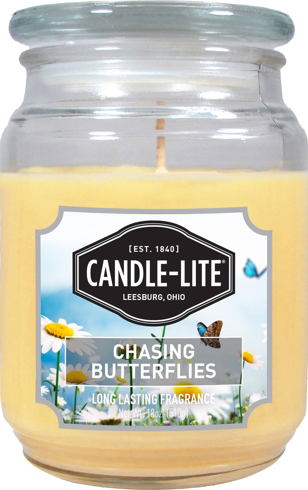 Candle-Lite Everyday Chasing Butterflies (18 oz)