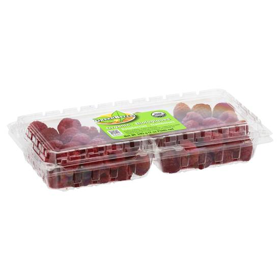 Organic Raspberries (12 oz)