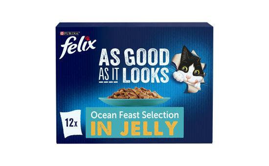 Felix AGAiL Ocean Feasts Pouches 12x100g