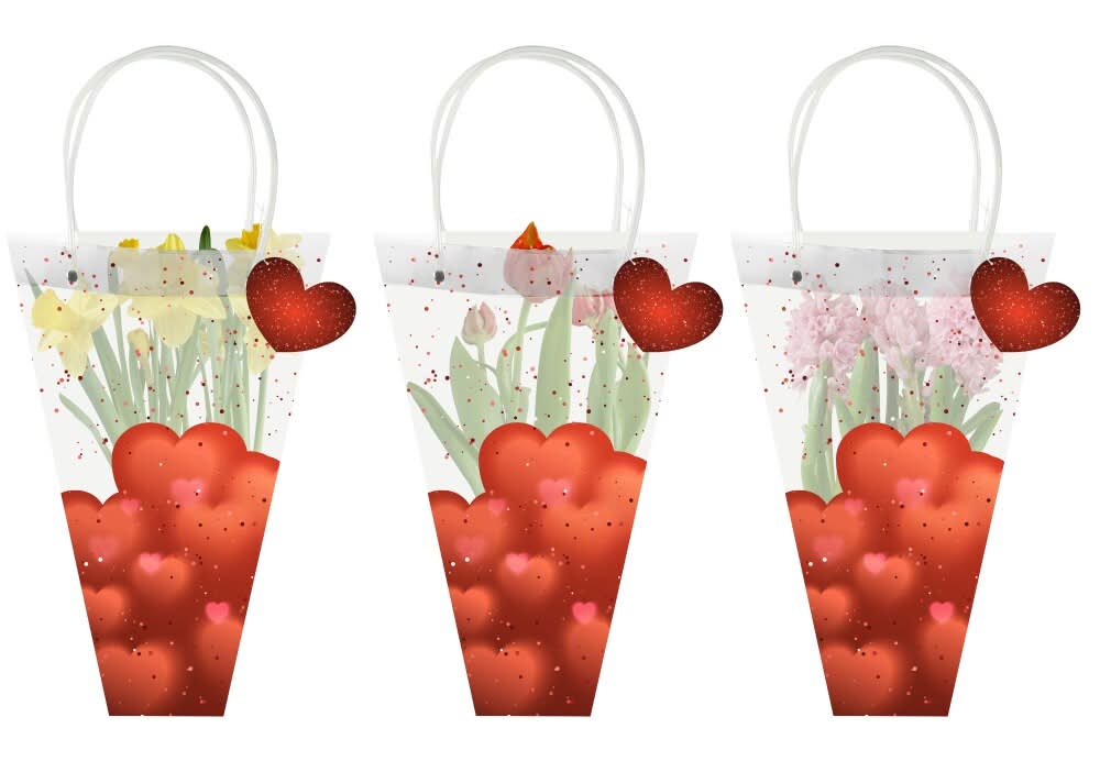 Rocket Farms 6" Assorted Spring Bulbs in Valentine's Day Bag