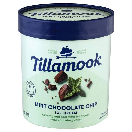 Tillamook Ice Cream (mint chocolate chip)