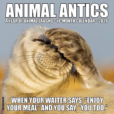 2026 Willow Creek Animal Antics 12 x 12 Monthly Wall Calendar (57735X)