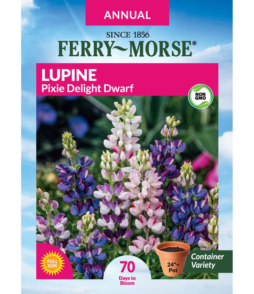 Ferry-Morse Lupine Seeds 950 Milligram(s)