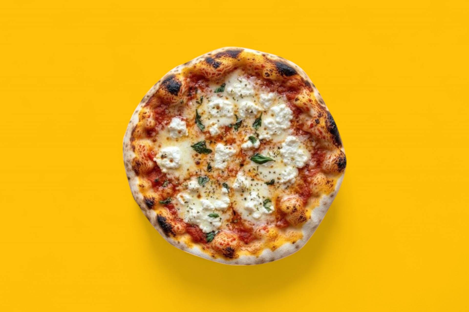 4 FROMAGES 🧀