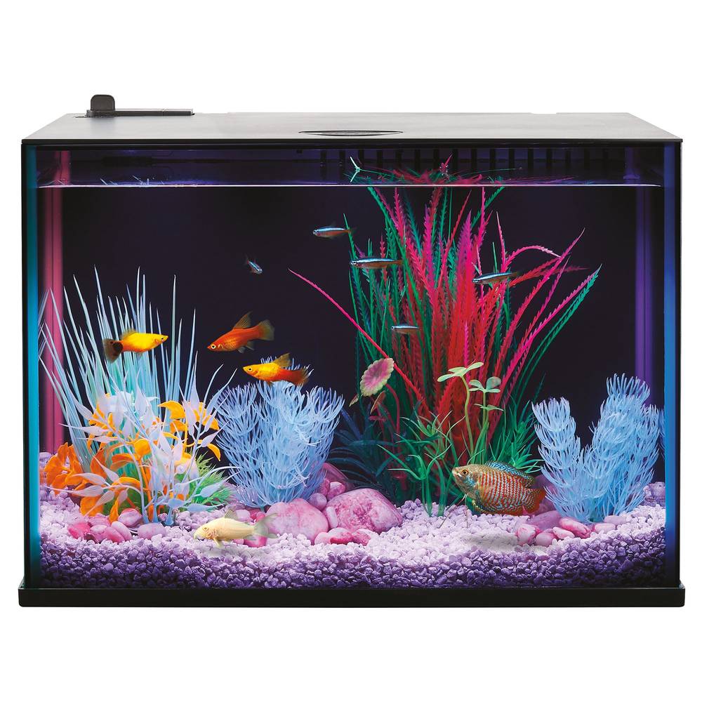 Top Fin® Custom Colorflow™ Aquarium with 7 Color-Changing LEDs (Color: Na, Size: 5 Gal)