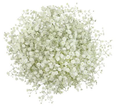 3 Stem Bunch Gypsophila