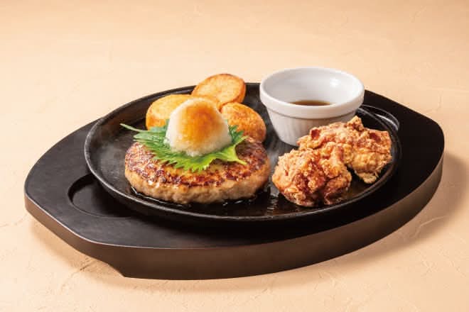 【C2】おろしハンバーグ&唐揚げ