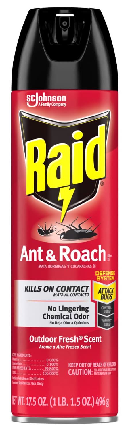 Raid Insect Killer Aerosol 17.5 Oz