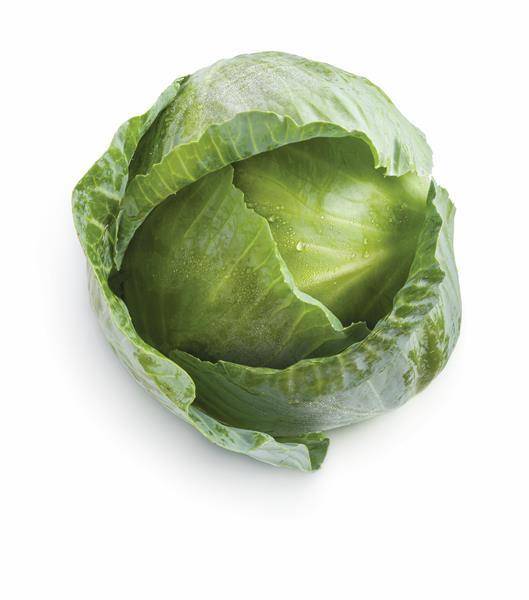 Green Cabbage