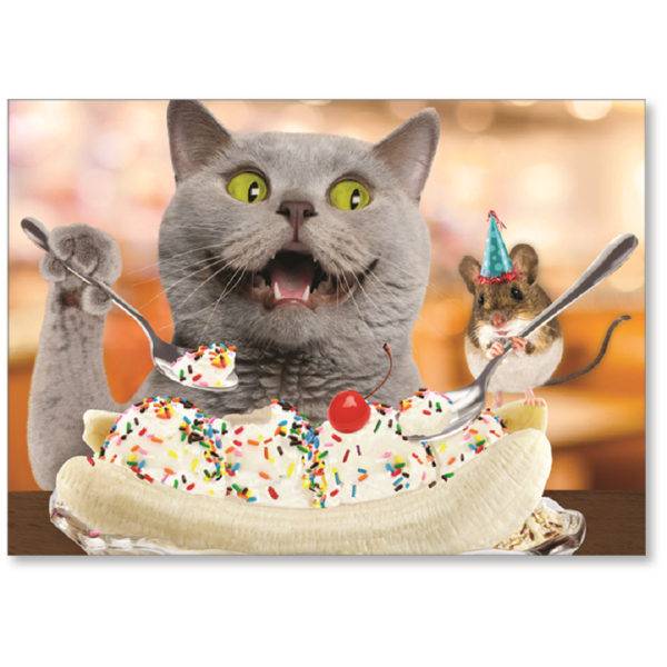 Viabella Fun Birthday Greeting Card With Envelope, Sundae Cat, 5" x 7"