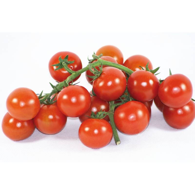 Tomate cerise Bio Bio Ensemble Barquette 250g