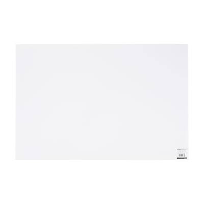 Staples Foamboard, 20 x 30, White (20182-US)