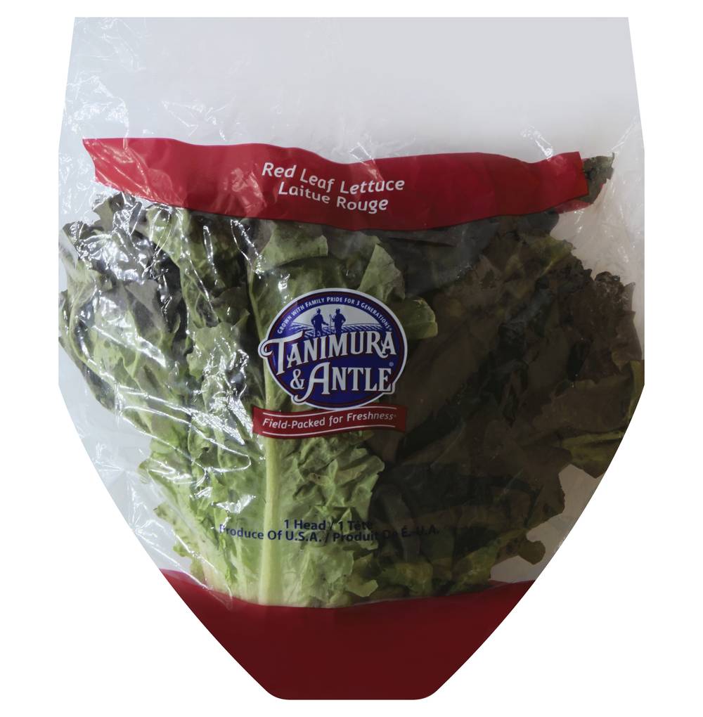 Tanimura & Antle Red Leaf Lettuce