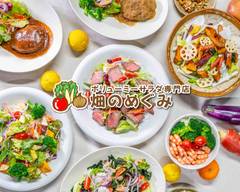 ボリューミーサラダ専門店 畑のめぐみ Mass salad specialty store HatakenoMegumi
