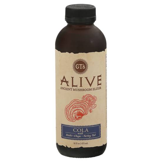 Gt's Alive Ancient Mushroom Elixir (16 fl oz) (cola)
