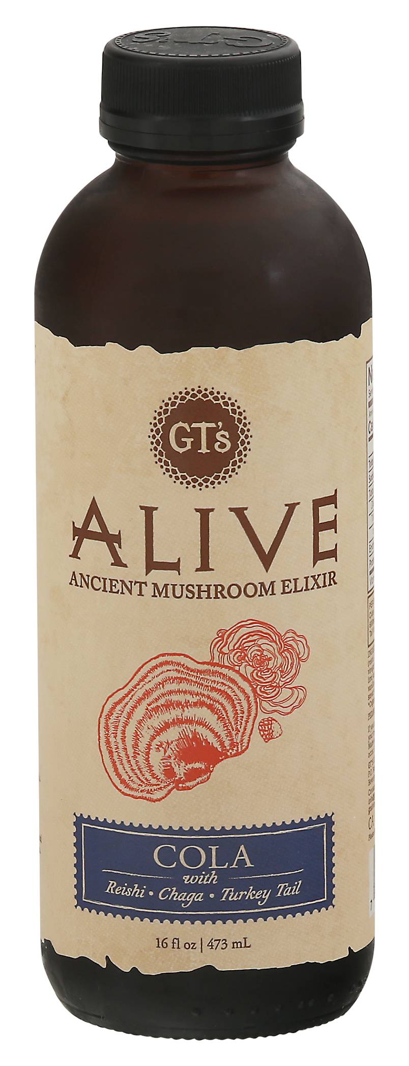 GT's Alive Ancient Mushroom Elixir, Cola (16 fl oz)