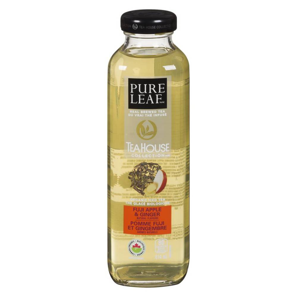 Pure Leaf Tea House Collections Fuji Apple Ginger Delivery Near Me