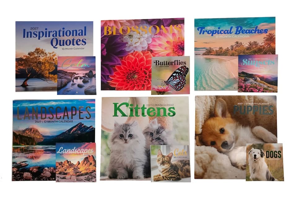 2027 12-Month Mini Calendar, Assorted Designs, 2-pc Pack.