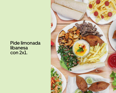 FAST SHAWARMA CUIDAD CELESTE (Guayaquil)