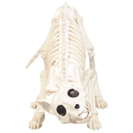 Crazy Bonez Decorative Skeleton Pounce