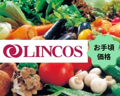 リンコス 九段
