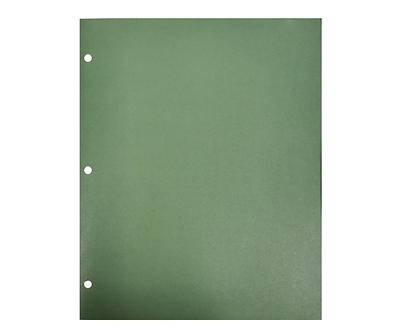 Big Lots Two Pocket Folder, Green