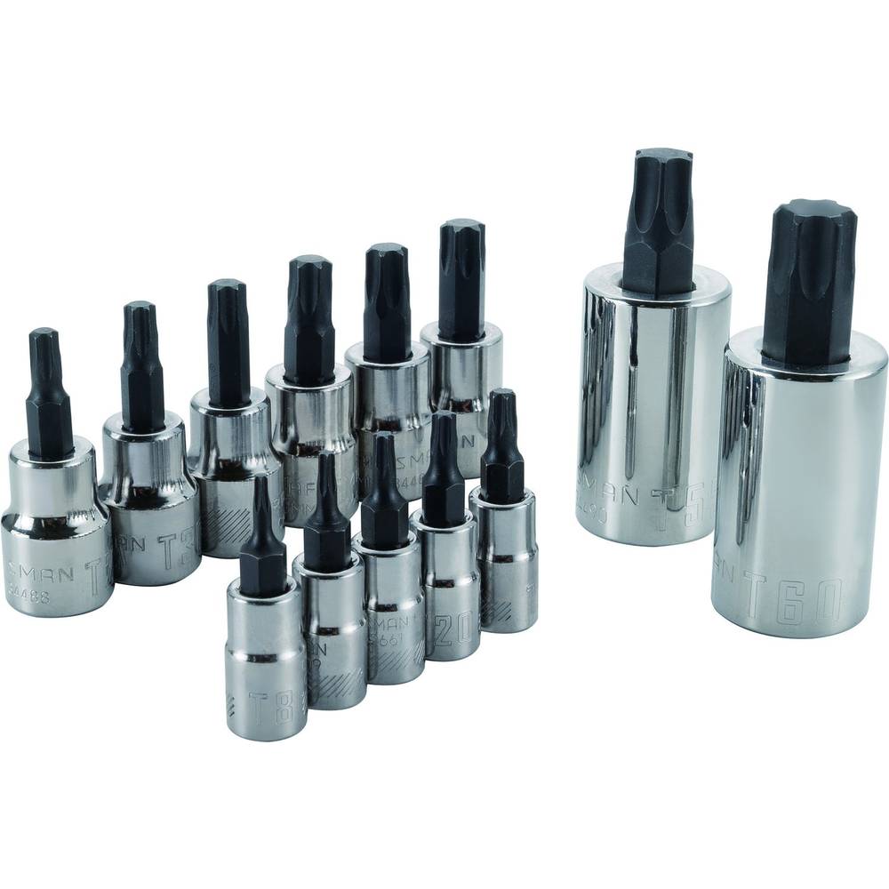 CRAFTSMAN 13-Piece 1/4-in; 3/8-in Drive Set Torx Bit Driver Socket Set | CMMT49294