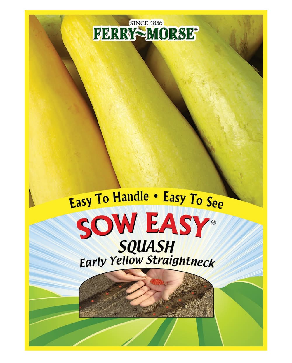 Ferry-Morse Squash Seeds 50 Count