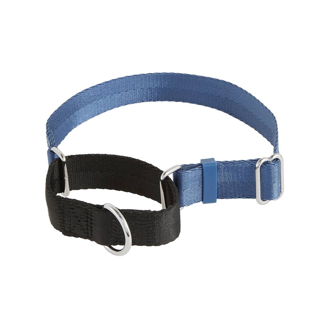 Top Paw Blue Training Non-Slip Martingale Dog Collar (Color: Blue, Size: Medium)