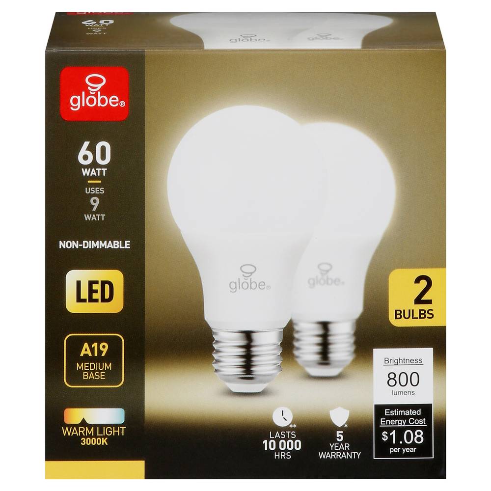 Globe Electric 60 Watt Warm Led Light Bulb