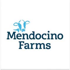 Mendocino Farms (Berkeley)