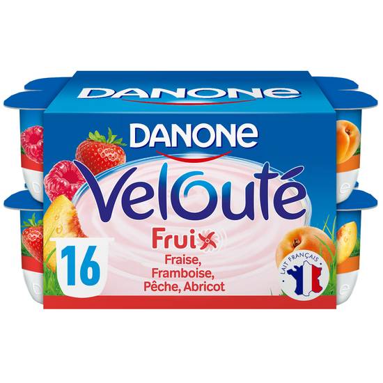 Danone - Velouté fruix yaourt aux fruits brass�é (16 pièces)