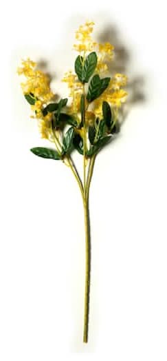 Double Baby'S Breath Stem By Ashland