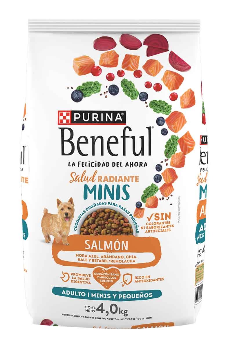 Purina Beneful · Alimento seco para perros, salmón, Adulto-Todos los Tamaños (4 kg)