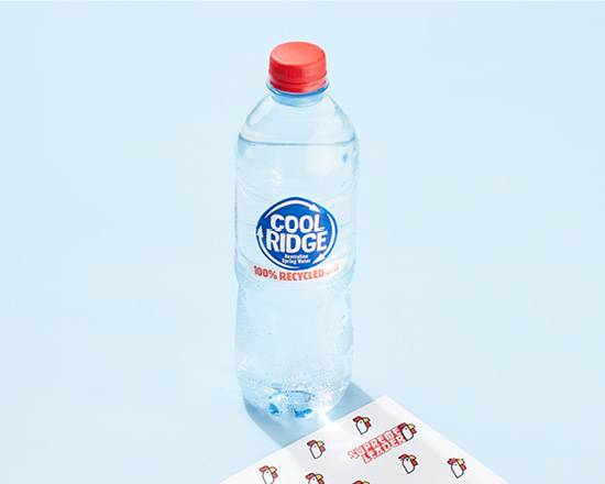 Cool Ridge Water 600mL