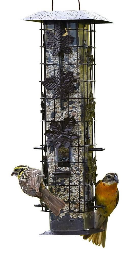 Perky-Pet Squirrel-Be-Gone Squirrel-Resistant Metal Durable Wild Bird Feeder - 2 Lb. Capacity