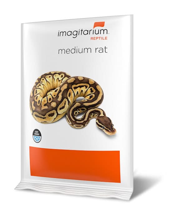 Imagitarium Medium Rat (1 lbs)
