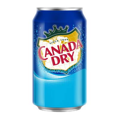 Agua mineralizada Canada Dry (355 ml)