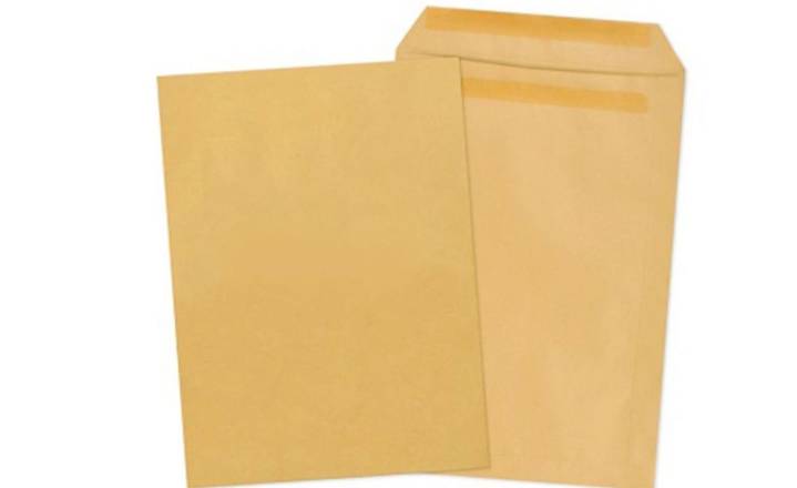 C5 Manilla Envelopes 10 Pack (369157)